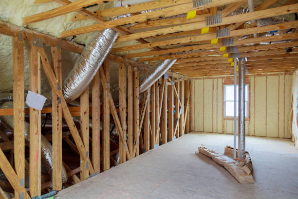 Best Residential Insulation in Wolfe City, TX