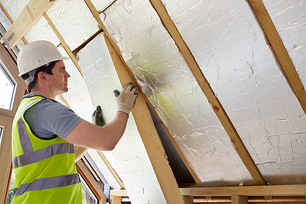 Best Commercial Insulation in Wolfe City, TX