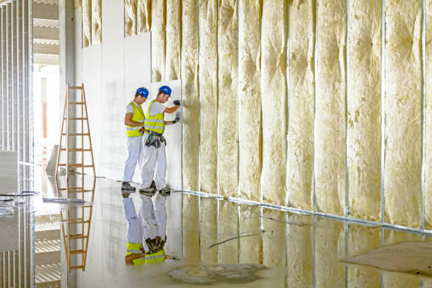 Best Insulation Materials and Products in Wolfe City, TX